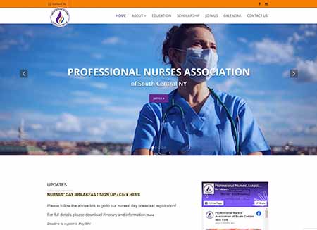 Professional Nurses Association